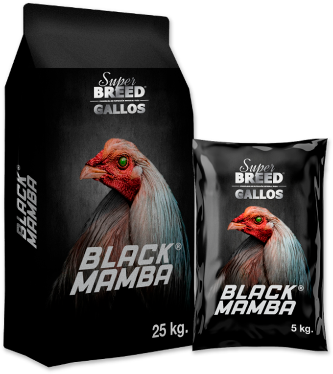 templanza casta brava